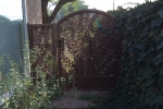 Vine & Leaf Iron gate.